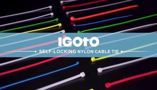Igoto Et 4*350 Kundenspezifischer verstellbarer Doppelhaken PA 66 Nylon-Kabelbinder Kunststoff-Kabelbinder Selbstsichernde lösbare Kabelzubehörfabrik